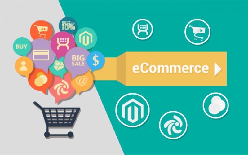 Indian E-Commerce Industry is not yet a Success Story!