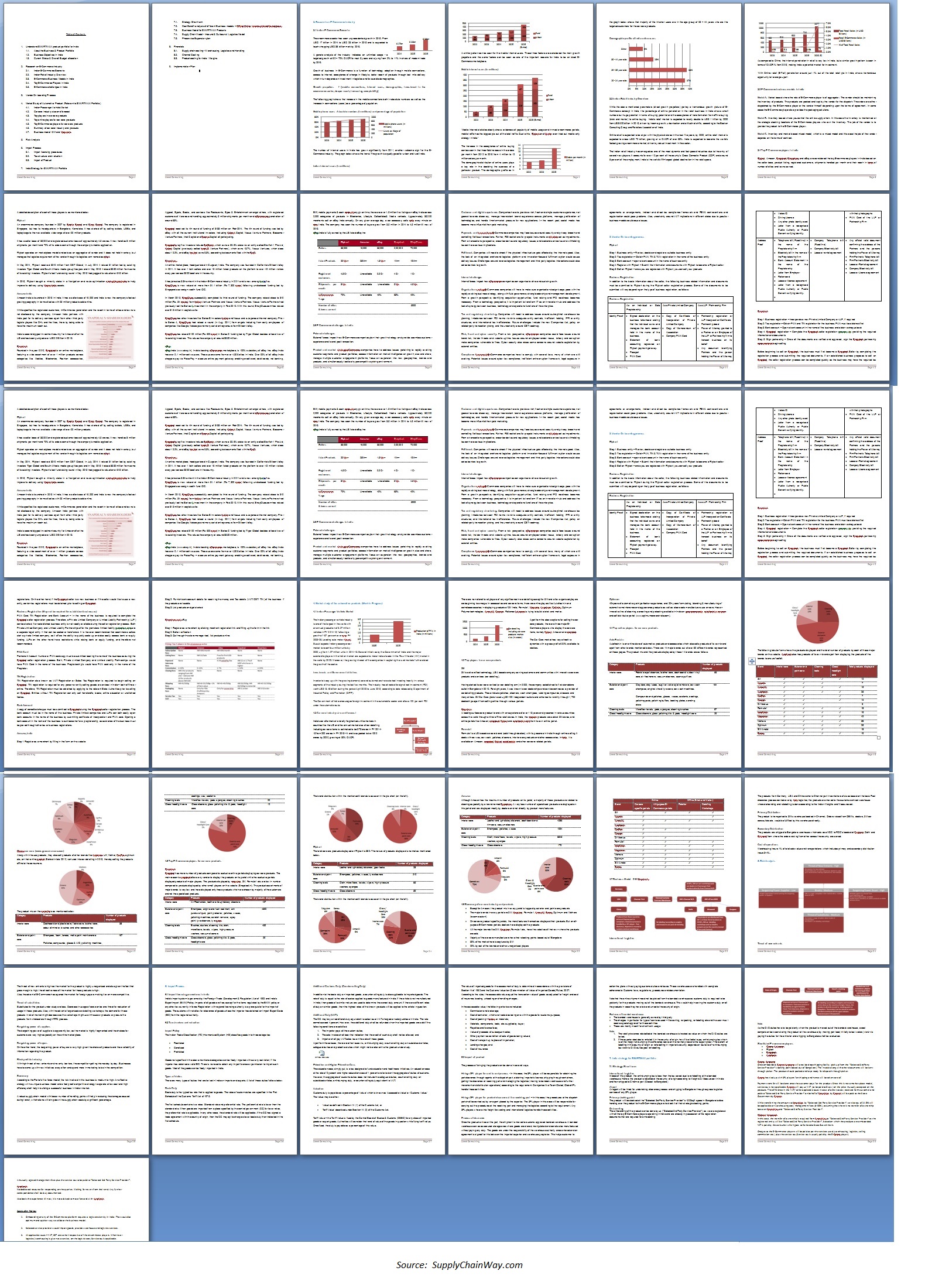 Snapshot of the Report for developing strategy for an automotive giant from United States