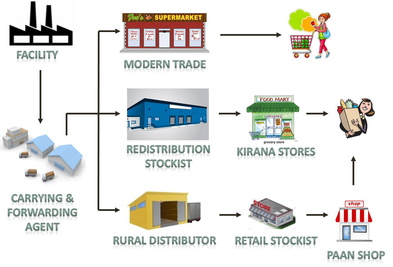 Supply Chain Model in FMCG sector